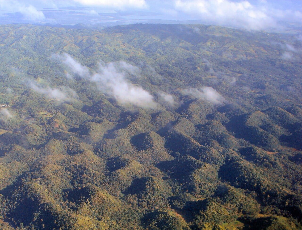 Cebu+Bohol